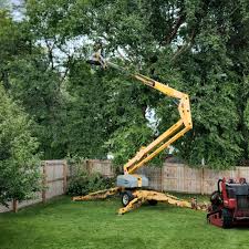 Best Tree Planting Services  in Buttonwillow, CA